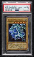 Blue-Eyes White Dragon [PSA 8 NM‑MT]