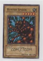 Hunter Spider