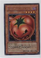 Mystic Tomato