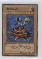 Firegrass [EX to NM]