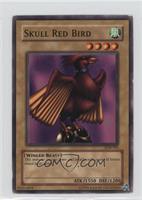 Skull Red Bird [Noted]