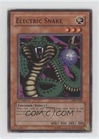 Electric Snake