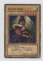 Queen Bird
