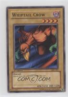 Whiptail Crow [Poor to Fair]