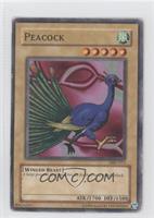 Peacock [Noted]