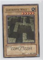 Labyrinth Wall