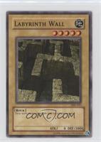 Labyrinth Wall