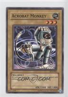 Acrobat Monkey