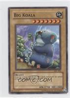 Big Koala [Noted]
