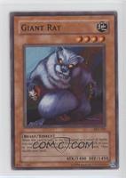 Giant Rat