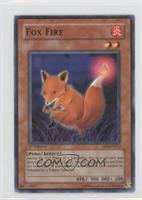 Fox Fire