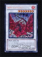 SCR - Black Rose Dragon