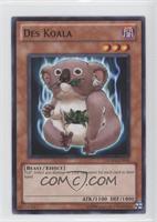 Des Koala