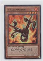 V Salamander